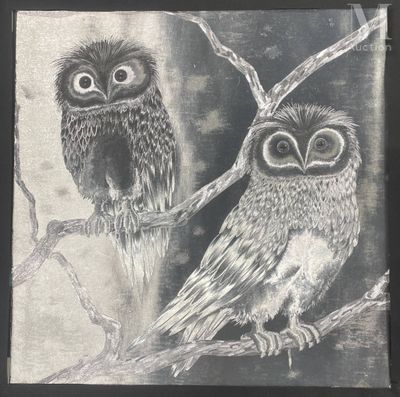 drawing of two owls sitting on a branch in a tree