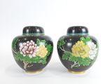 une paire de vases noirs ornés de fleurs peintes sur un fond blanc