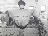 an old black and white photo of a scare standing in a field