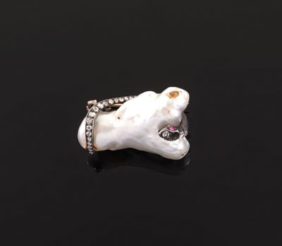 a close up of a tooth with a ring on top of it