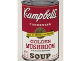 campbell ' s condensed golden mushroom soup, from the campbell ' s condensed cookbook
