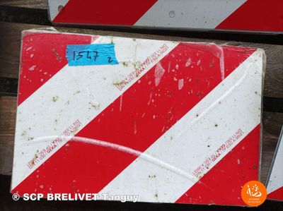 ENVIRON 2 PLAQUES REFLECHISSANTES - Photo 1