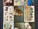 many different pictures of dogs and cats on this postcard
