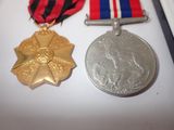 two medals and a medal on display in a case