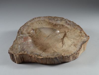 un morceau de bois posé sur une table