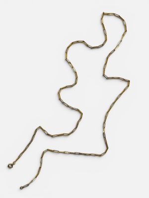an image of a gold necklace with a snake on it