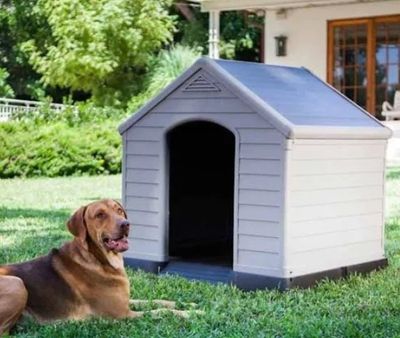un chien allongé dans l'herbe à côté d'une niche