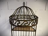 a bird in a cage hanging on a wall