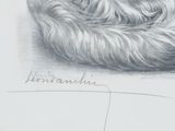 pencil drawing of a cat curled up in a cat bed