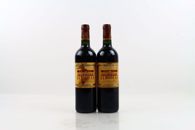 2 bouteilles de SAINT-JULIEN 2008 par la CROIX DE BEAUCAILLO…