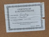 a piece of paper that has a certificate on it