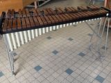 an image of a musical instrument in a room