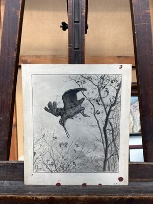une photo d'un oiseau en plein vol