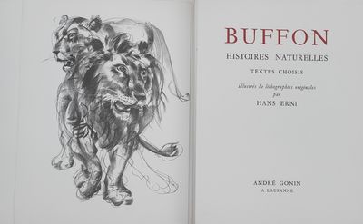 an open book with a drawing of a lion and a man riding on a horse