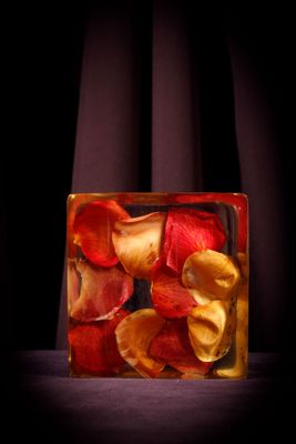 des pétales de rose séchés dans un bloc de verre sur fond noir