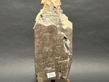 a large rock on a wooden stand with a label on it