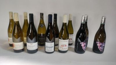 bottles of wine are lined up in a row on a white surface