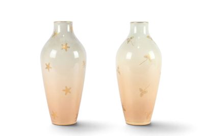 deux vases posés côte à côte sur une surface blanche