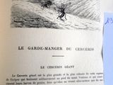 un vieux livre avec l'image d'un homme sur un cheval