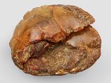 a close up of a rock with a piece of rock in it