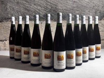 bottles of wine are lined up on a table in front of a stone wall