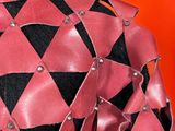 an image of a woman wearing a pink and black jacket