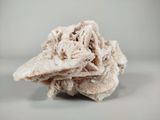a close up of a piece of food on a table