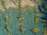 Photo 6/7 du lot