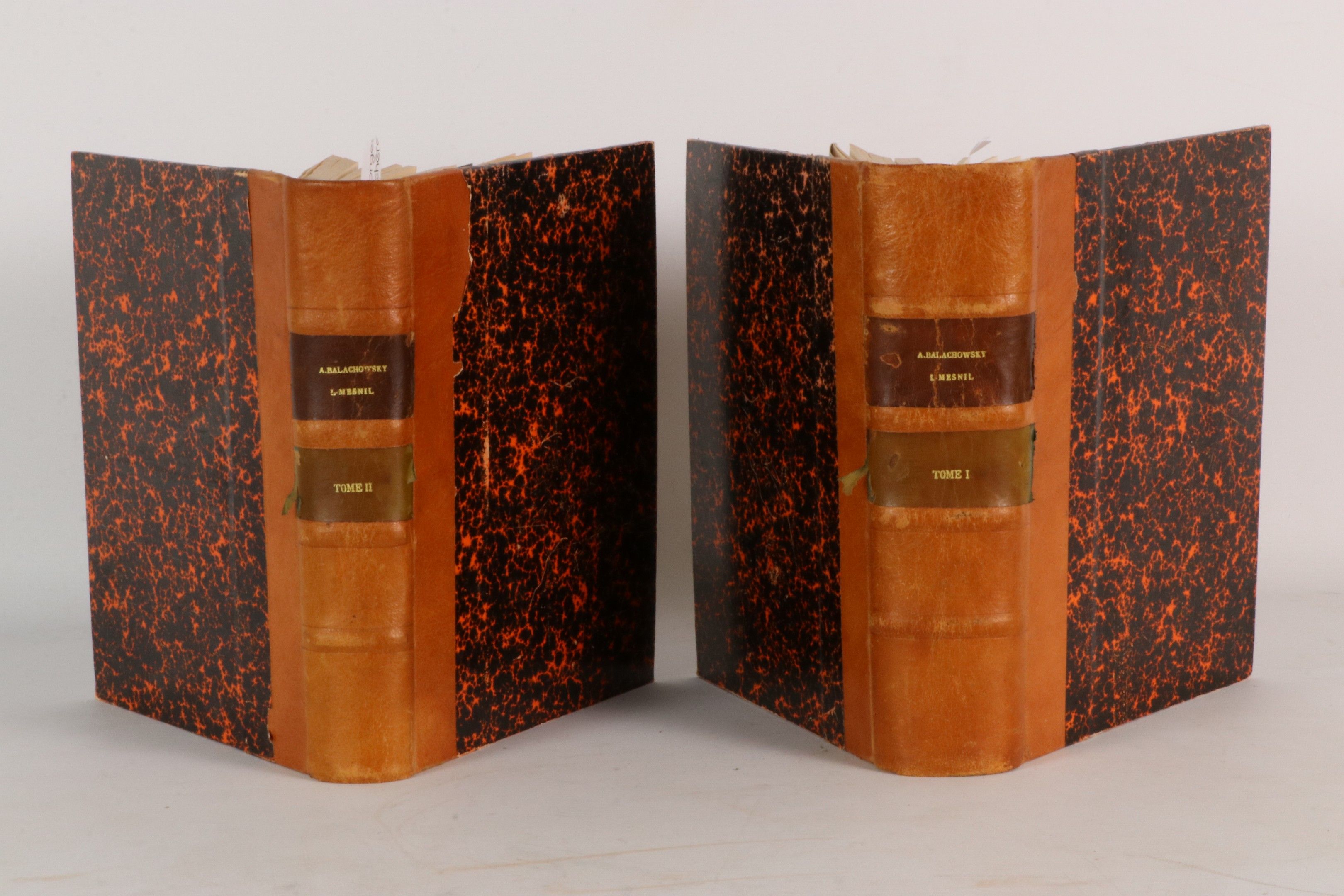 [Entomologie] Balachowsky A. & Mesnil L.