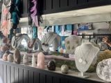 many different types of jewelry displayed on the counter