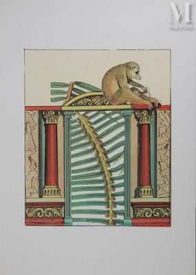 une photo d'un singe assis en haut d'un escalier
