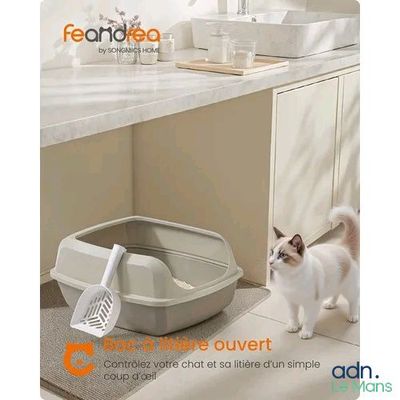un chat qui se tient à côté d'un bac à litière