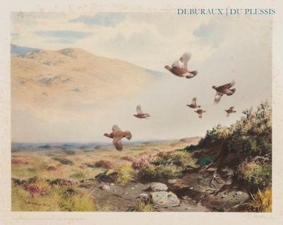 une image représentant un tableau où l'on voit des oiseaux survoler un champ