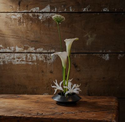 une fleur blanche dans un vase noir posé sur une table en bois