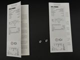 deux feuilles posées l'une à côté de l'autre sur une table