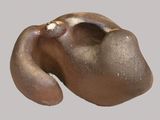 an image of a sculpture of a dog ' s head