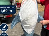 un homme debout à côté d'un gros requin tenu par un autre homme