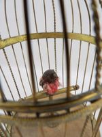 CAGE MUSICALE - Petite cage en laiton à oiseau chanteur auto… (photo 6)
