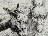 drawing of two donkeys standing next to each other in a field