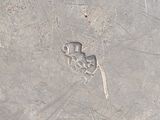 a close up of a metal plate with a small animal on it