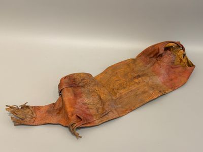an image of a dead animal is laying on a white surface