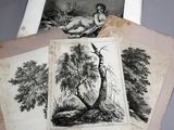 quatre gravures anciennes représentant des nus et des arbres, posées sur une table