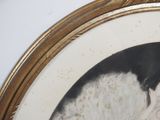 a picture of a black and white dog in a gold frame