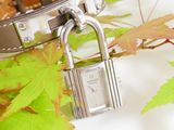 a bracelet with a padlock attached to it on a tree branch
