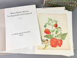 Deux livres sont posés sur une table, à côté d'une plante.