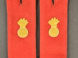 paire d'épaulettes militaires rouges et dorées ornées d'ananas