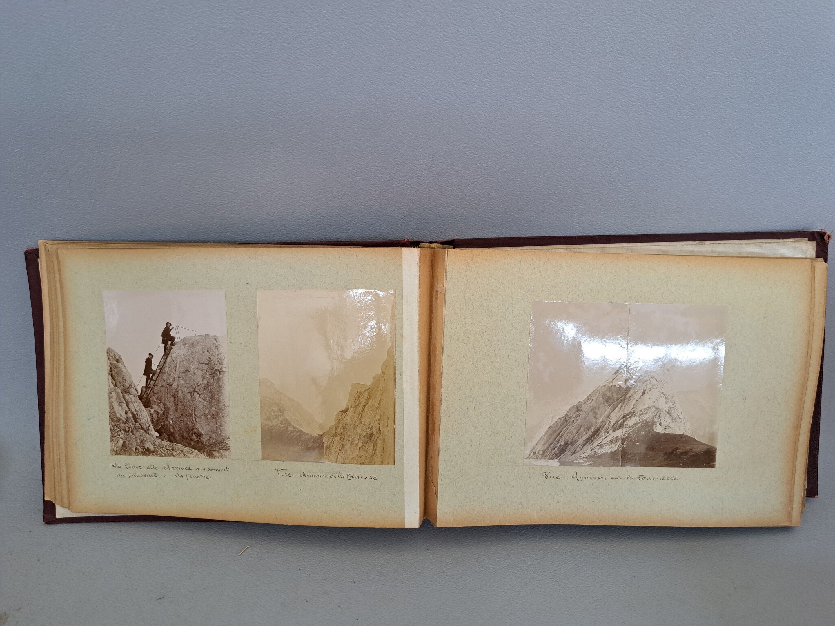 Objets d'art & Curiosités