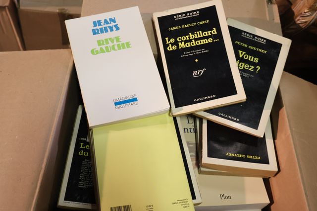 Lot de 4 cartons dont guide touristique, roman policier, littérat...