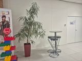 a plant in the corner of a room with a sign on the wall