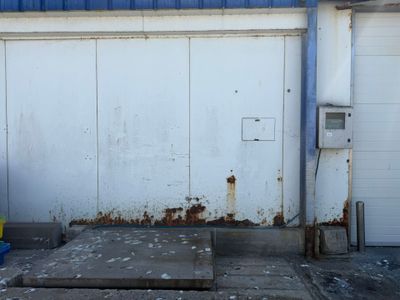 a fire hydrant sitting in front of a garage door